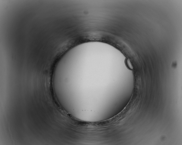 X0000103440697200809121101
