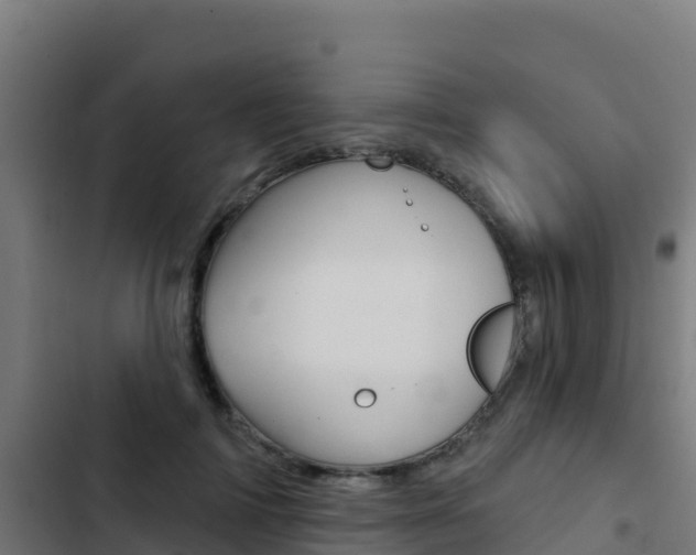 X0000103440698200809121101