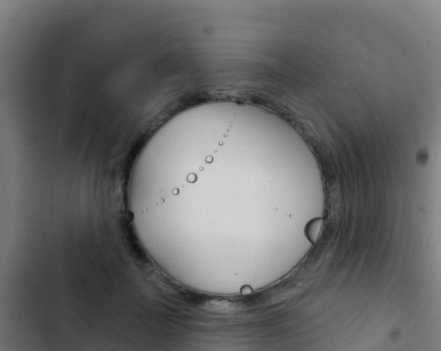 X0000103440699200809121101