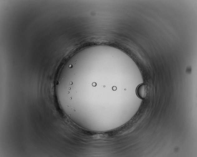 X0000103440700200809121101