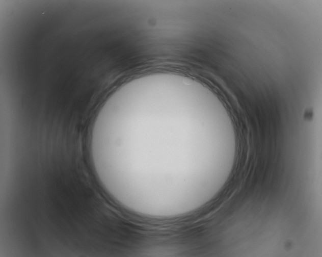 X0000103440701200809121101