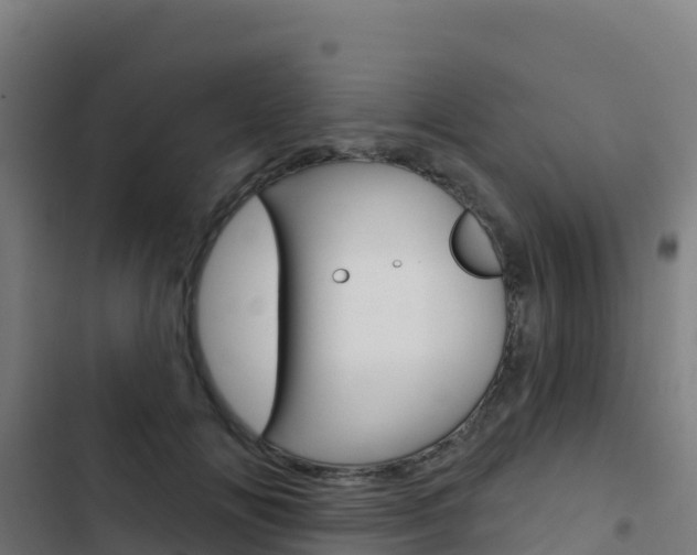 X0000103440702200809121101