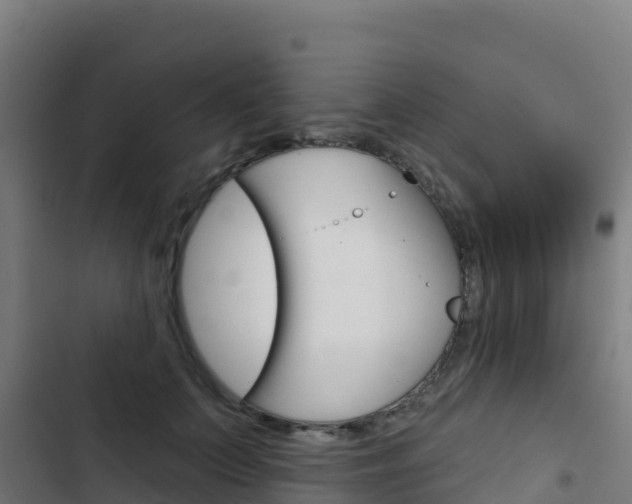X0000103440703200809121101