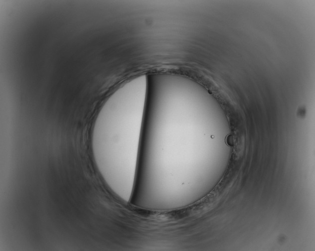 X0000103440704200809121101