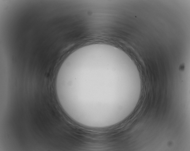 X0000103440705200809121101