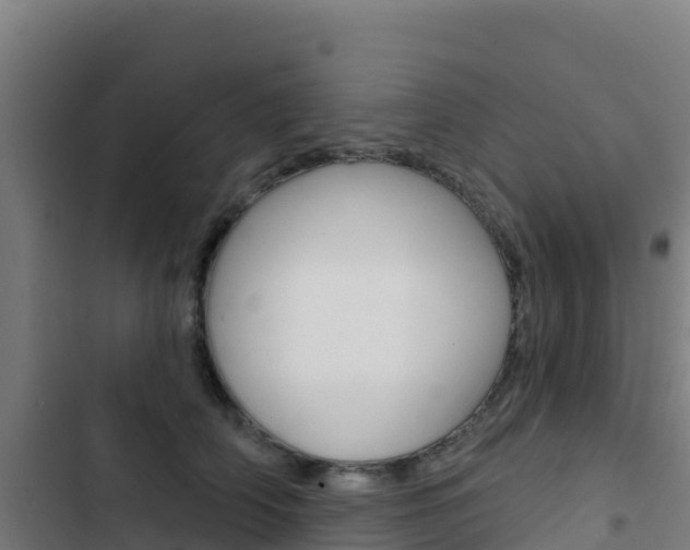 X0000103440706200809121101