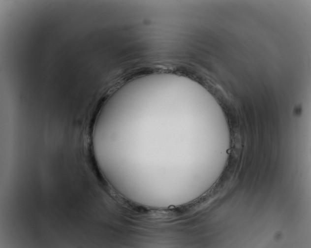 X0000103440707200809121101