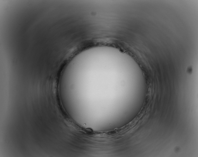 X0000103440708200809121101