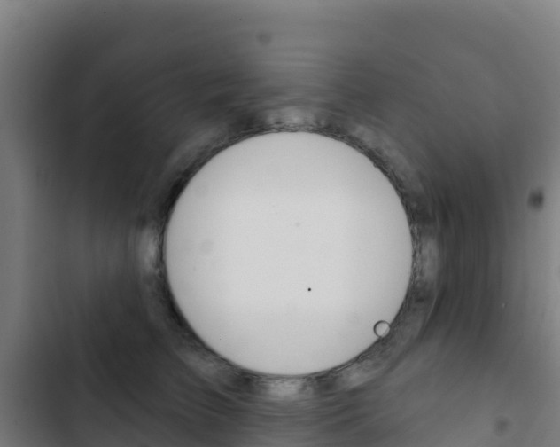 X0000103440709200809121101
