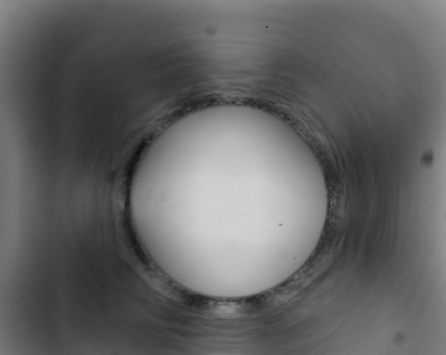 X0000103440710200809121101