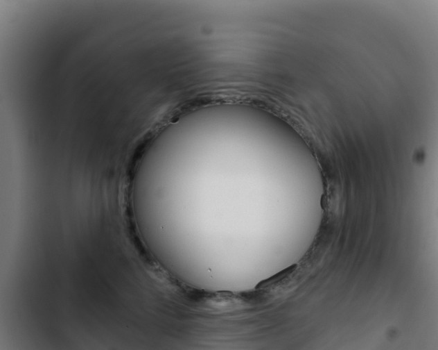 X0000103440712200809121101