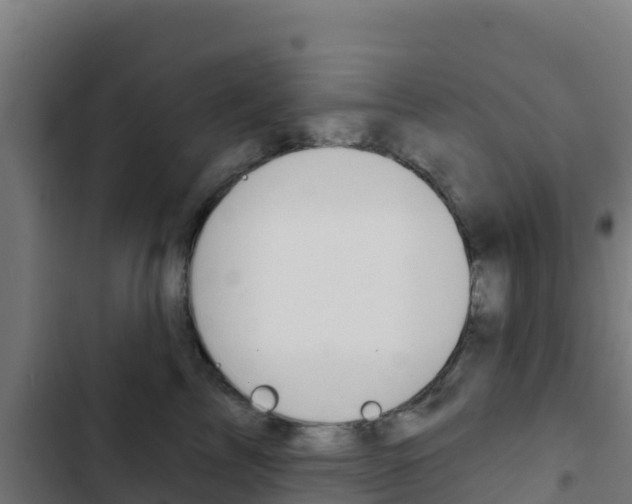 X0000103440713200809121101