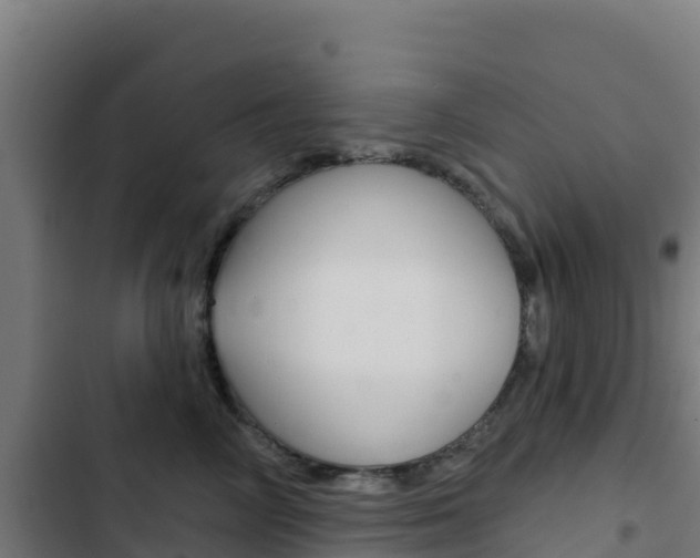 X0000103440714200809121101