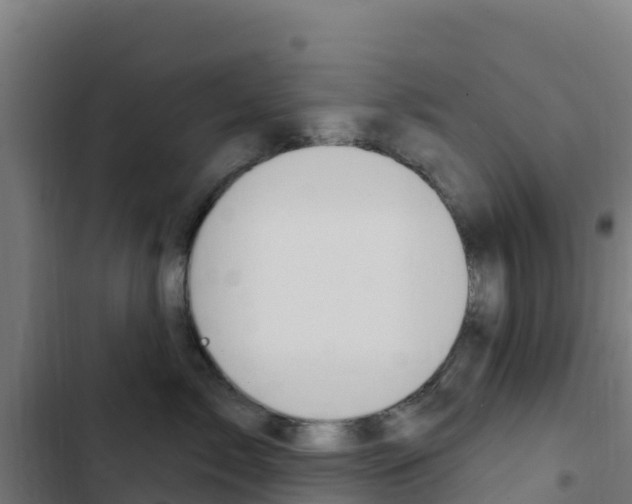 X0000103440717200809121101
