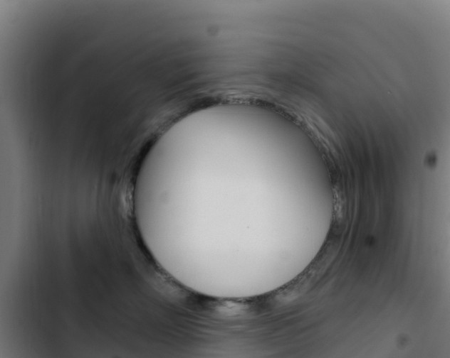 X0000103440718200809121101