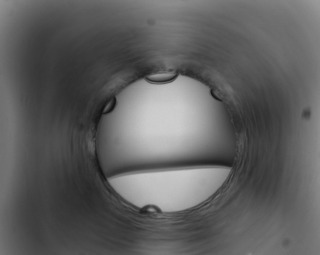 X0000103440719200809121101