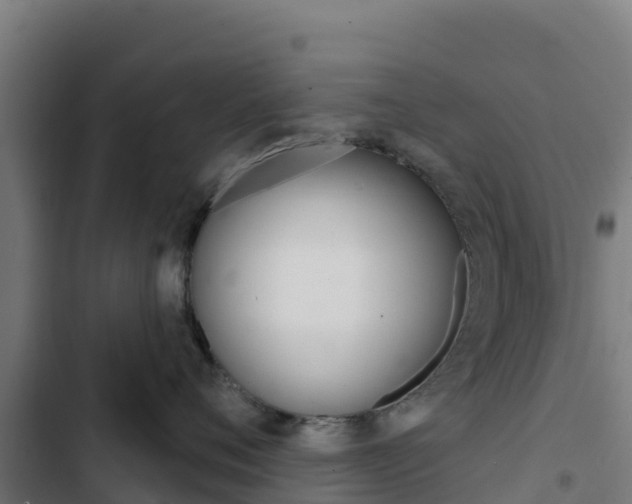 X0000103440720200809121101