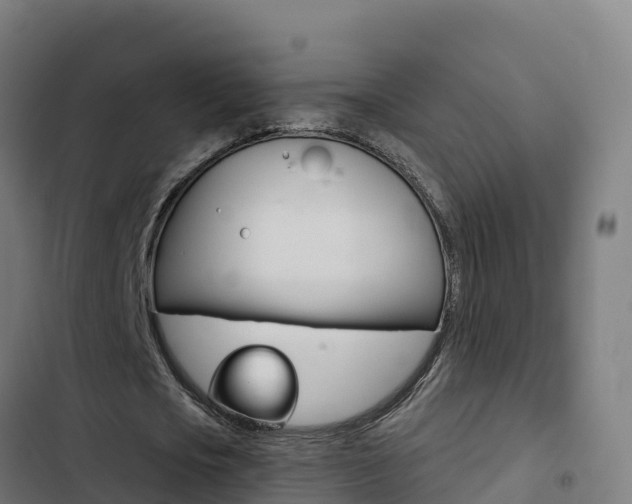 X0000103440721200809121100