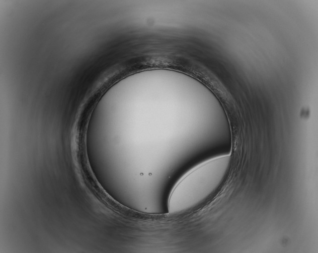 X0000103440722200809121100