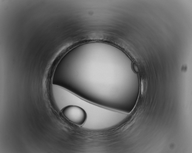 X0000103440723200809121100