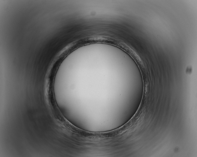 X0000103440724200809121100