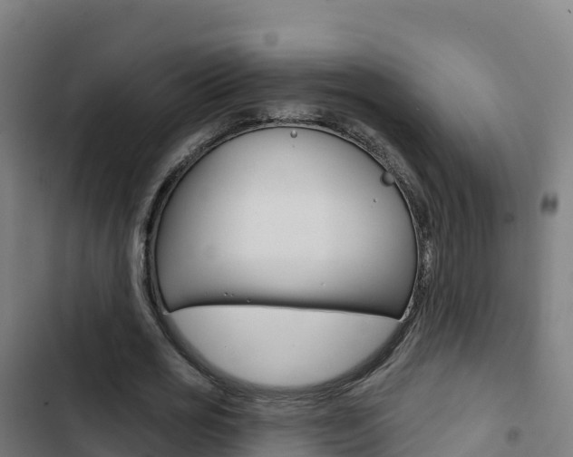 X0000103440725200809121100