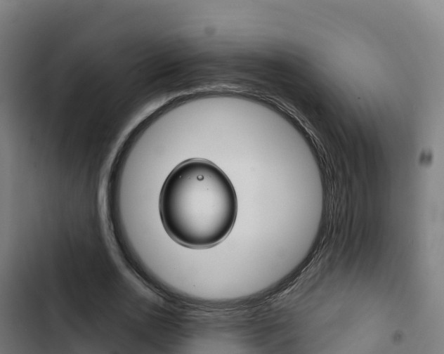 X0000103440726200809121100