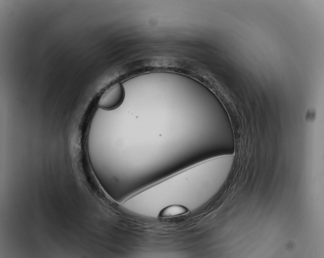 X0000103440727200809121100
