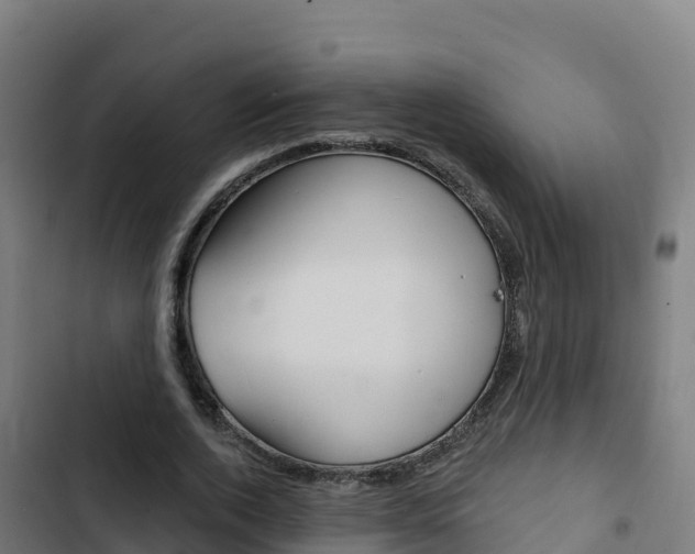 X0000103440728200809121100