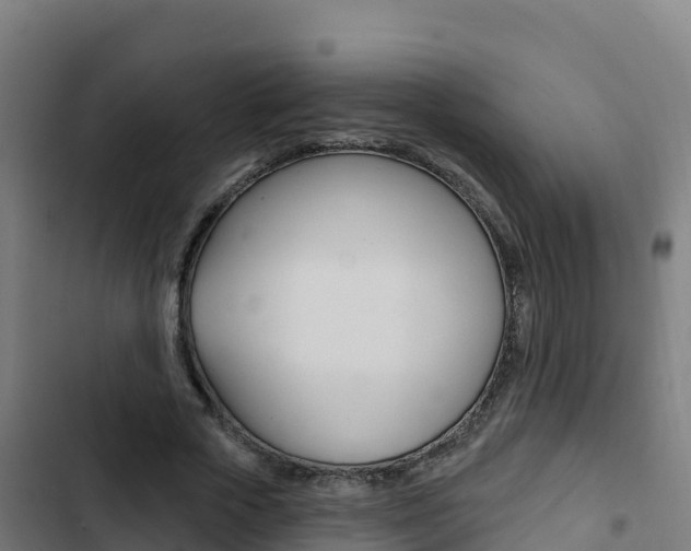 X0000103440729200809121100