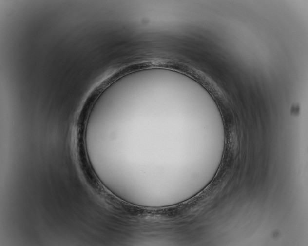 X0000103440730200809121100