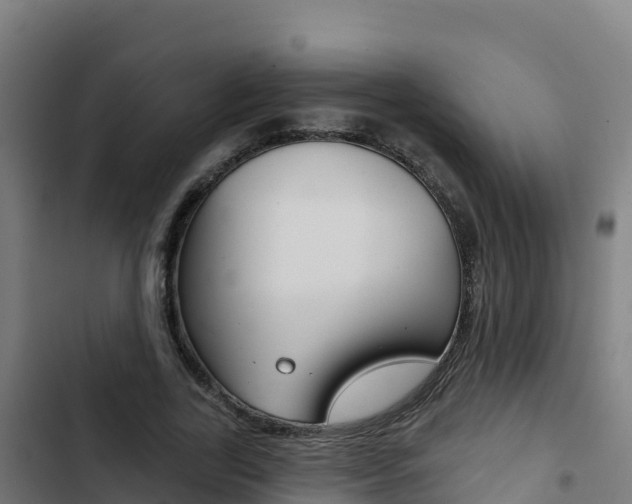 X0000103440731200809121100