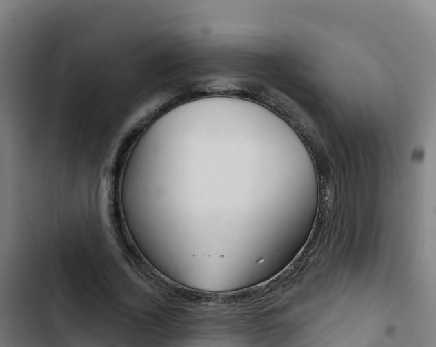 X0000103440732200809121100