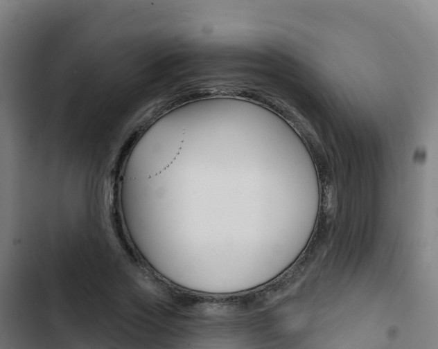 X0000103440733200809121100