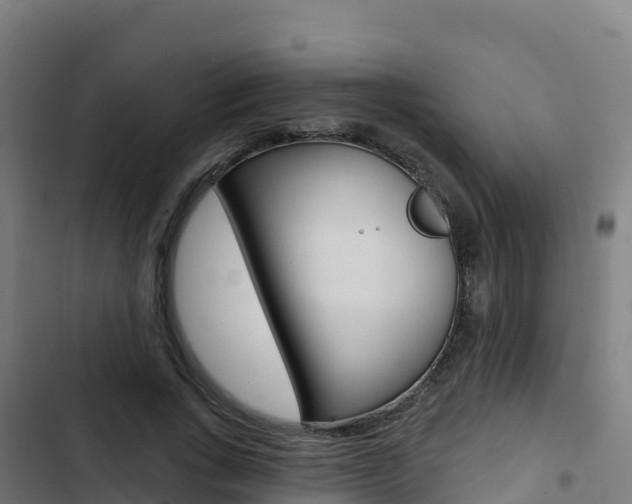 X0000103440735200809121100