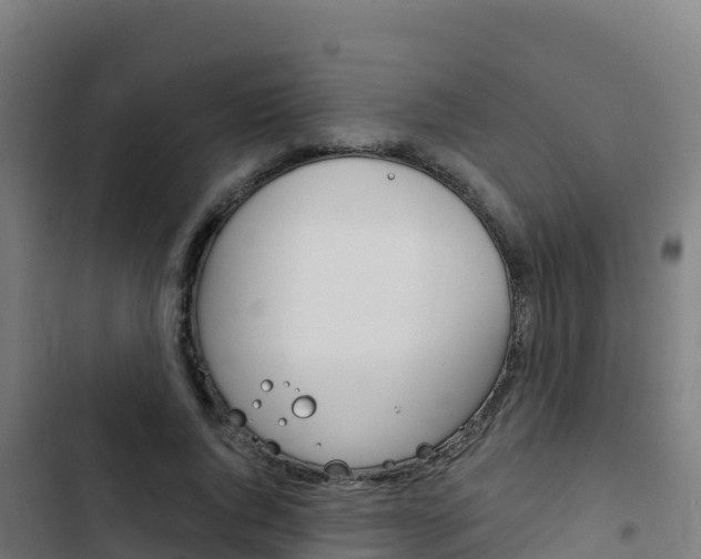 X0000103440736200809121100