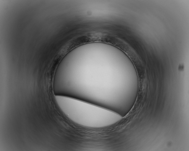 X0000103440737200809121100