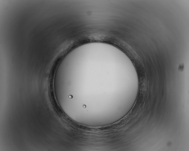 X0000103440738200809121100