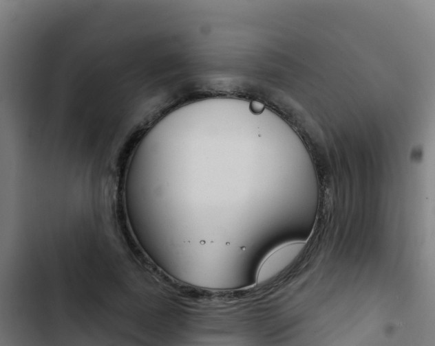 X0000103440739200809121100