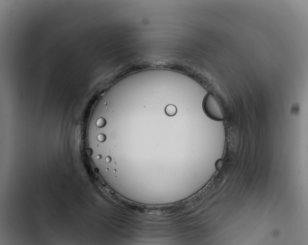 X0000103440740200809121100