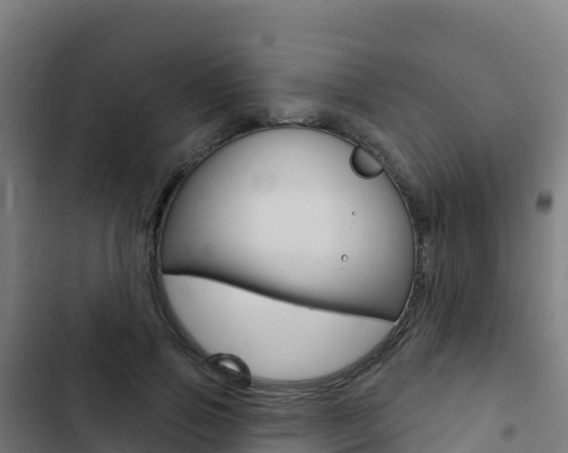 X0000103440741200809121100