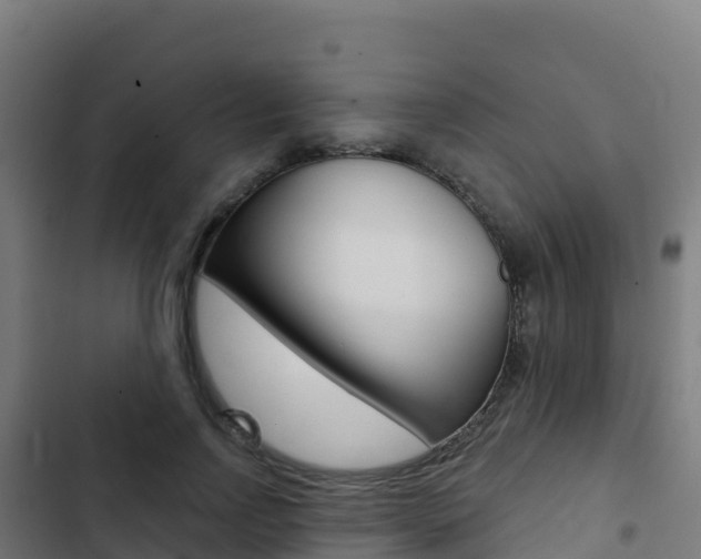 X0000103440742200809121100