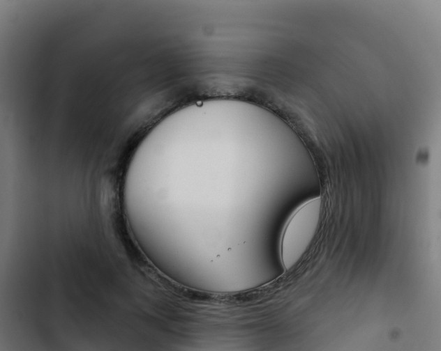 X0000103440743200809121101
