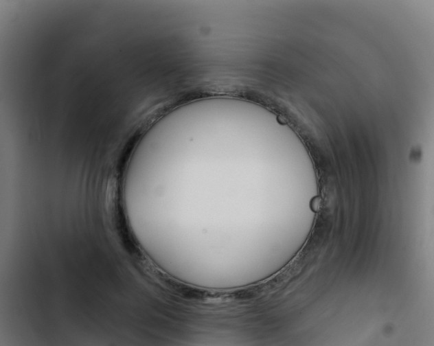 X0000103440744200809121101
