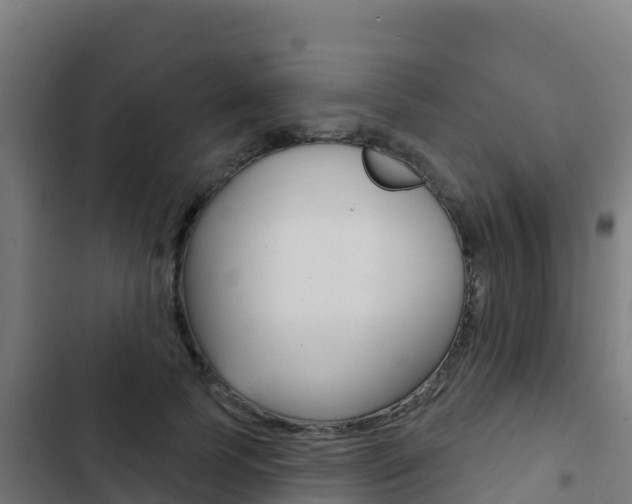 X0000103440745200809121101