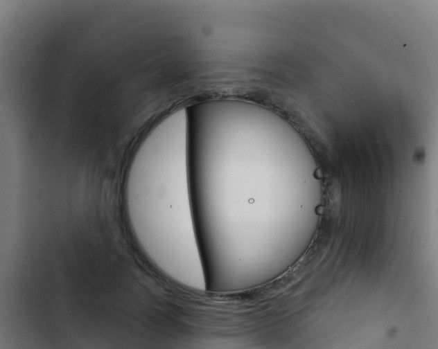 X0000103440746200809121101