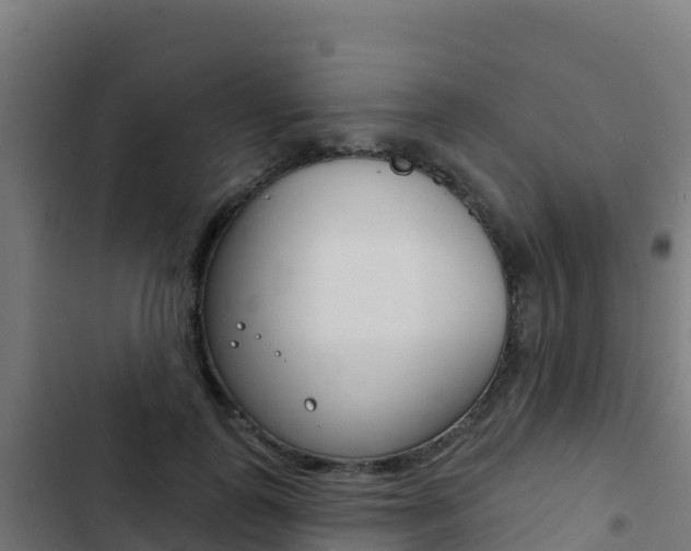 X0000103440747200809121101