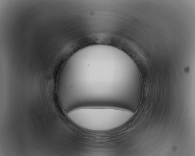 X0000103440748200809121101
