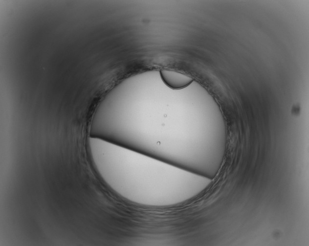 X0000103440749200809121101