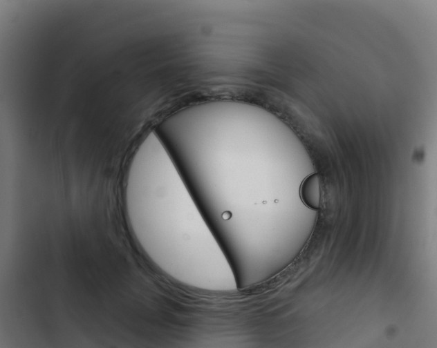 X0000103440751200809121101
